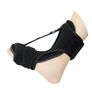 Qinus Flexifis